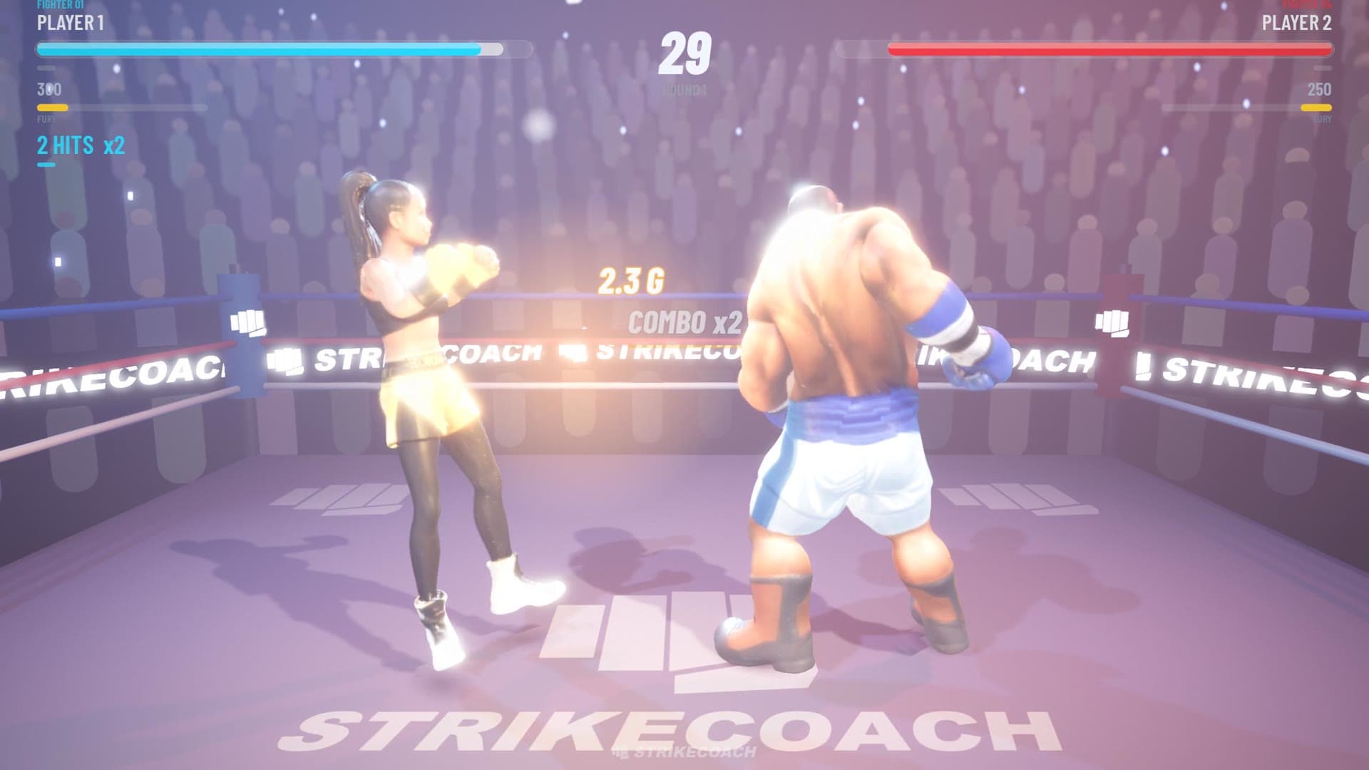 Every Punch Lands in the Game 2