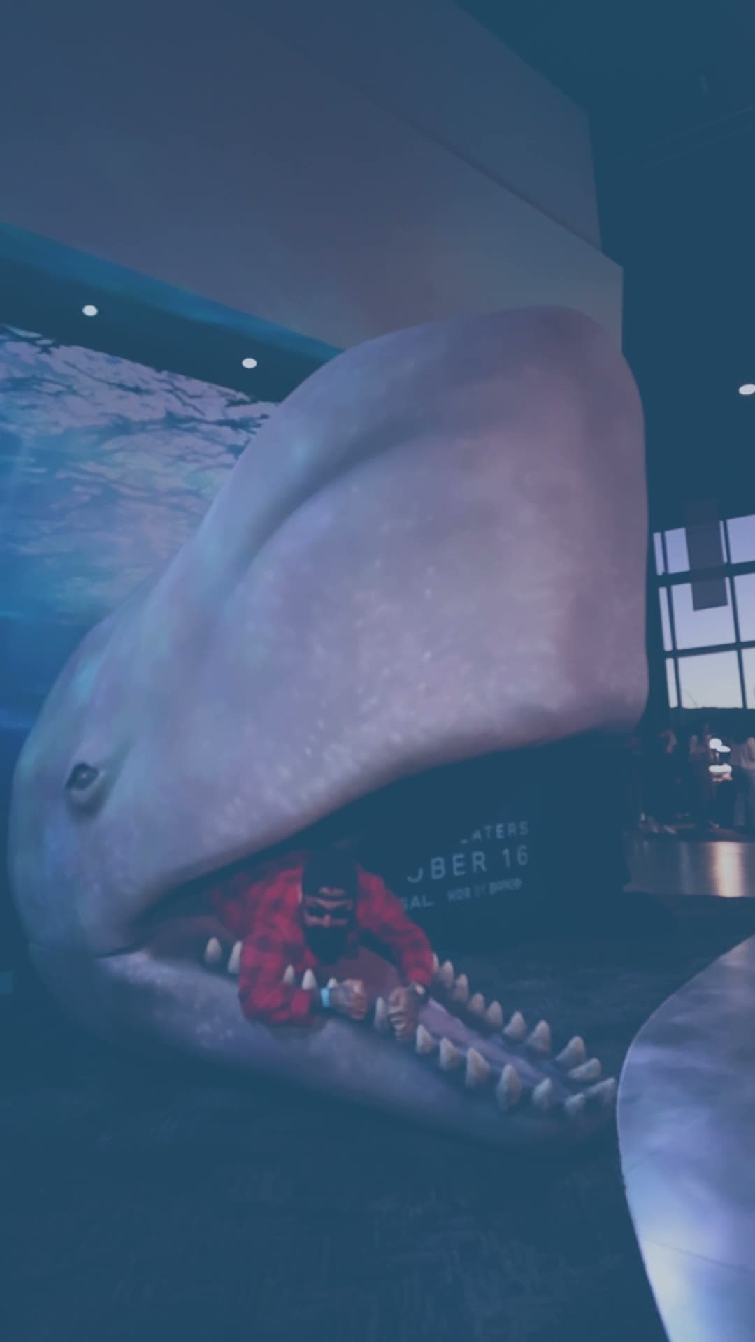 Whalefall Robot Camera Tour: One Rig, Three Cities, 311 Slow-Motion Videos